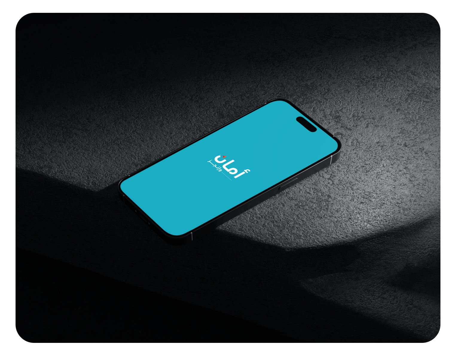 Biometric Login and Impact